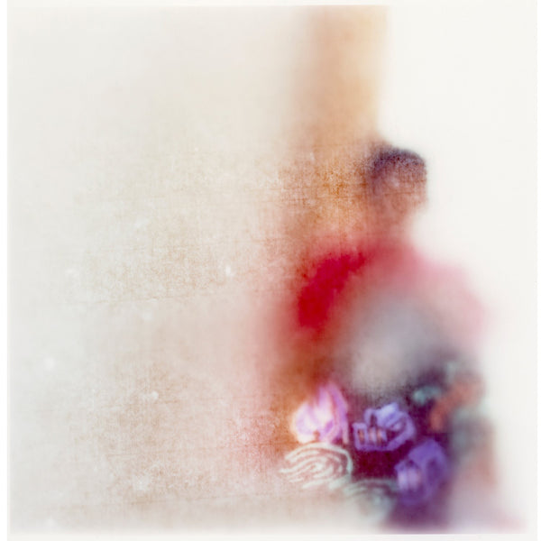 Virginia Mak Artwork | Colourful, blurred, soft-focus photographs of figures in nature and interiors.