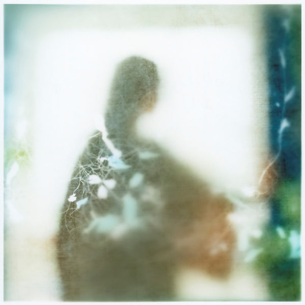 Virginia Mak Artwork | Colourful, blurred, soft-focus photographs of figures in nature and interiors.