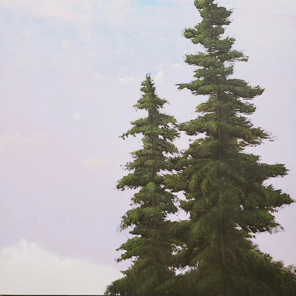 Robert Marchessault Artwork | Colourful, pastel, realist landscapes and portraits of trees.