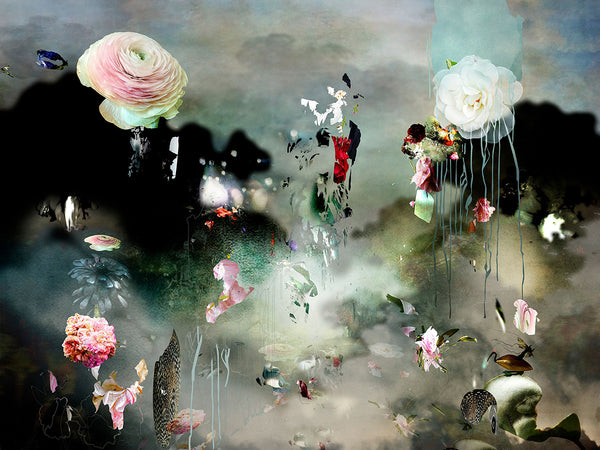 Isabelle Menin Artwork | Colourful, dramatic, painterly, abstract composite photographs of flowers and fruit.