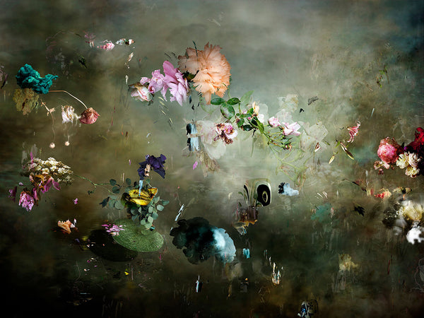 Isabelle Menin Artwork | Colourful, dramatic, painterly, abstract composite photographs of flowers and fruit.