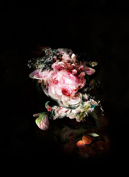 Isabelle Menin Artwork | Colourful, dramatic, painterly, abstract composite photographs of flowers and fruit.