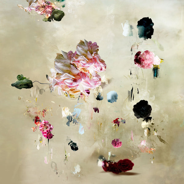 Isabelle Menin Artwork | Colourful, dramatic, painterly, abstract composite photographs of flowers and fruit.
