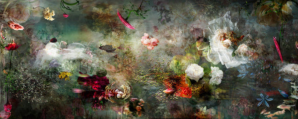 Isabelle Menin Artwork | Colourful, dramatic, painterly, abstract composite photographs of flowers and fruit.