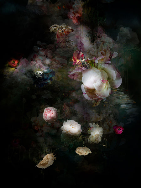 Isabelle Menin Artwork | Colourful, dramatic, painterly, abstract composite photographs of flowers and fruit.