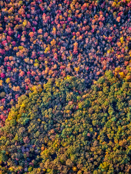 Hudson Valley Fall 04 - Available in 5 sizes