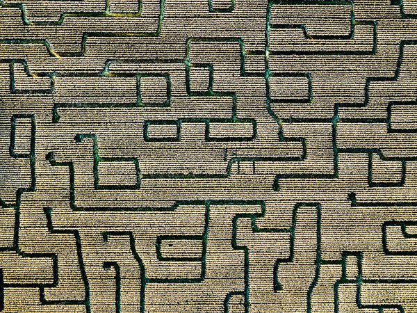 Hudson Valley Fall Corn Maze - Available in 5 sizes