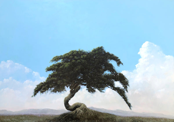 Robert Marchessault Artwork | Colourful, pastel, realist landscapes and portraits of trees.