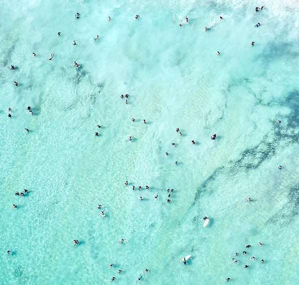 Swimmers of Rio II - 3 sizes