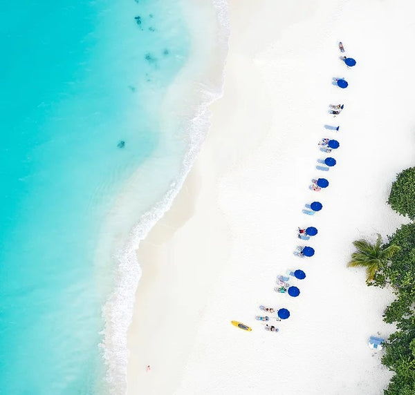 Take Me There - 4 sizes