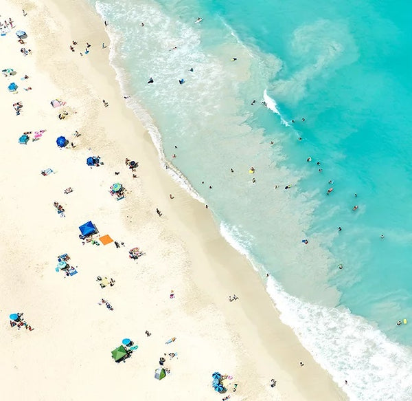 The North Shore - 3 sizes