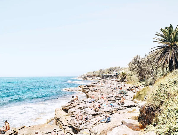 The Sun Palms and You - 4 sizes