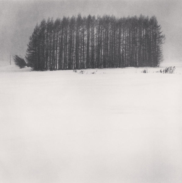 Michael Kenna Artwork | Calm, minimalist black and white photographs of trees, water, architecture, and landscapes.