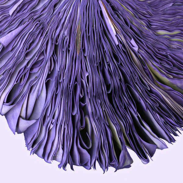 Violet - Available in 3 sizes