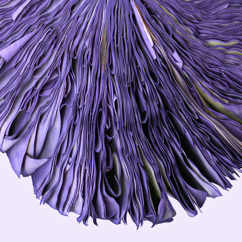 Violet - Available in 3 sizes