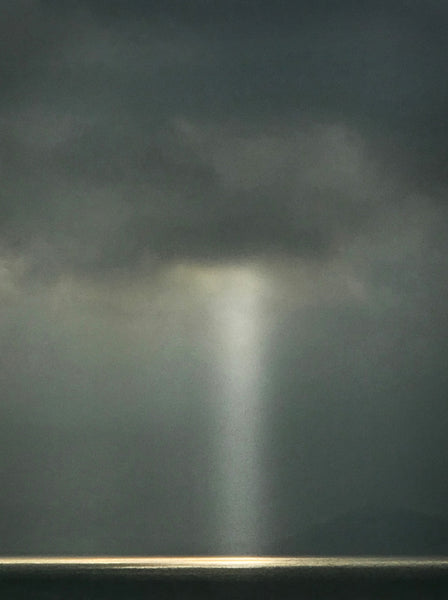 Michael Wolf Artwork | Dramatic muted large-format architectural photographs of Hong Kong Chicago and Paris, portraits from the Tokyo subway.