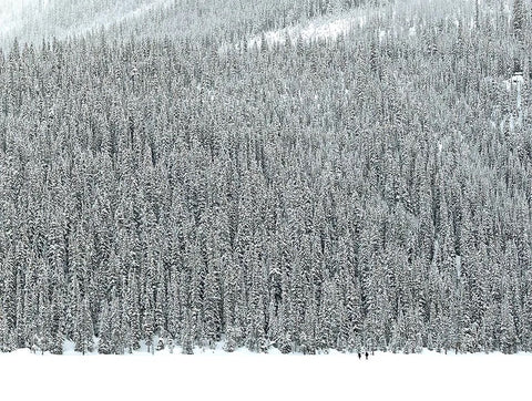 Away From It All With You - 4 sizes