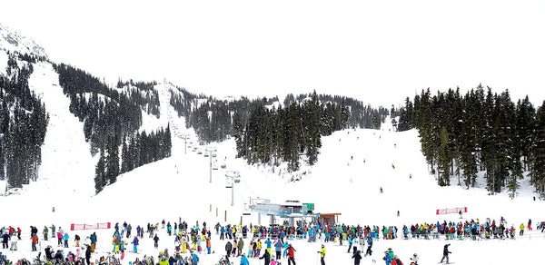 Heading Up - 3 sizes