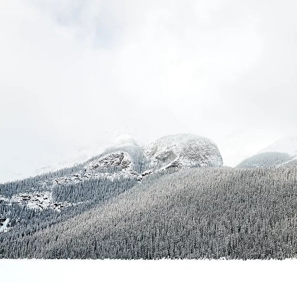 Into The Air - 3 sizes