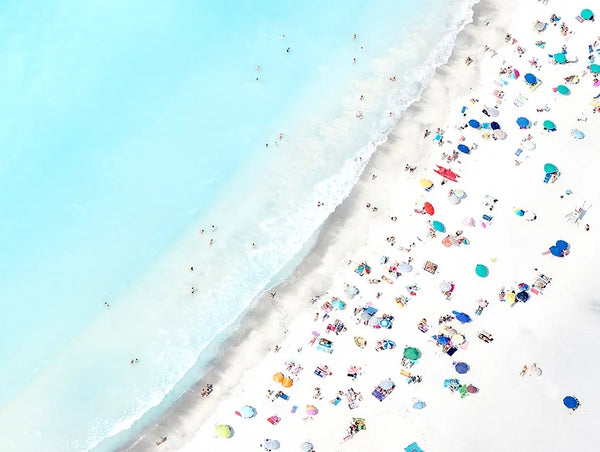 Last Days of Summer - 4 sizes