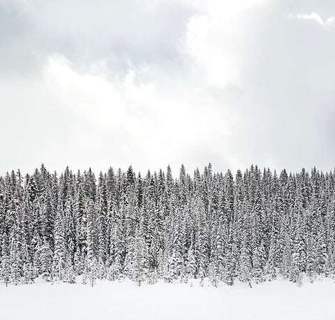 Silent Memories - 3 sizes