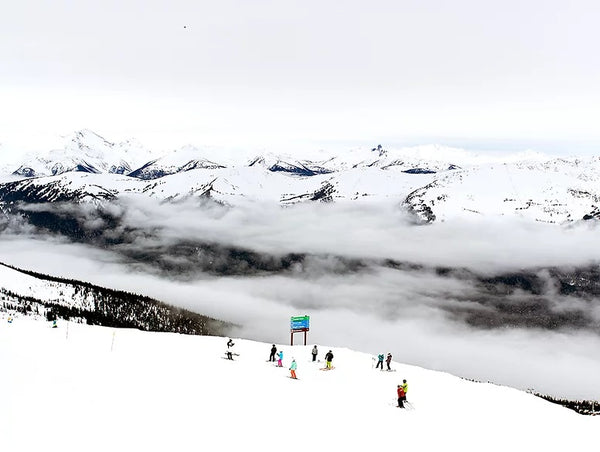 View From The Top - 4 sizes