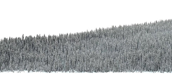 Where Dreams Are Made - 3 sizes