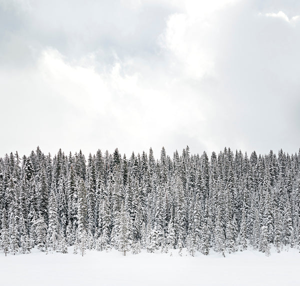 Joshua Jensen-Nagle | Winter Feature