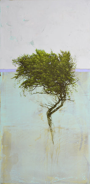 Robert Marchessault artwork 'Cassia' available at Bau-Xi Gallery Toronto, Ontario