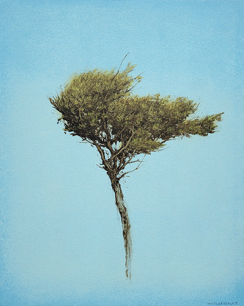 Robert Marchessault artwork 'Luberon I' available at Bau-Xi Gallery Toronto, Ontario