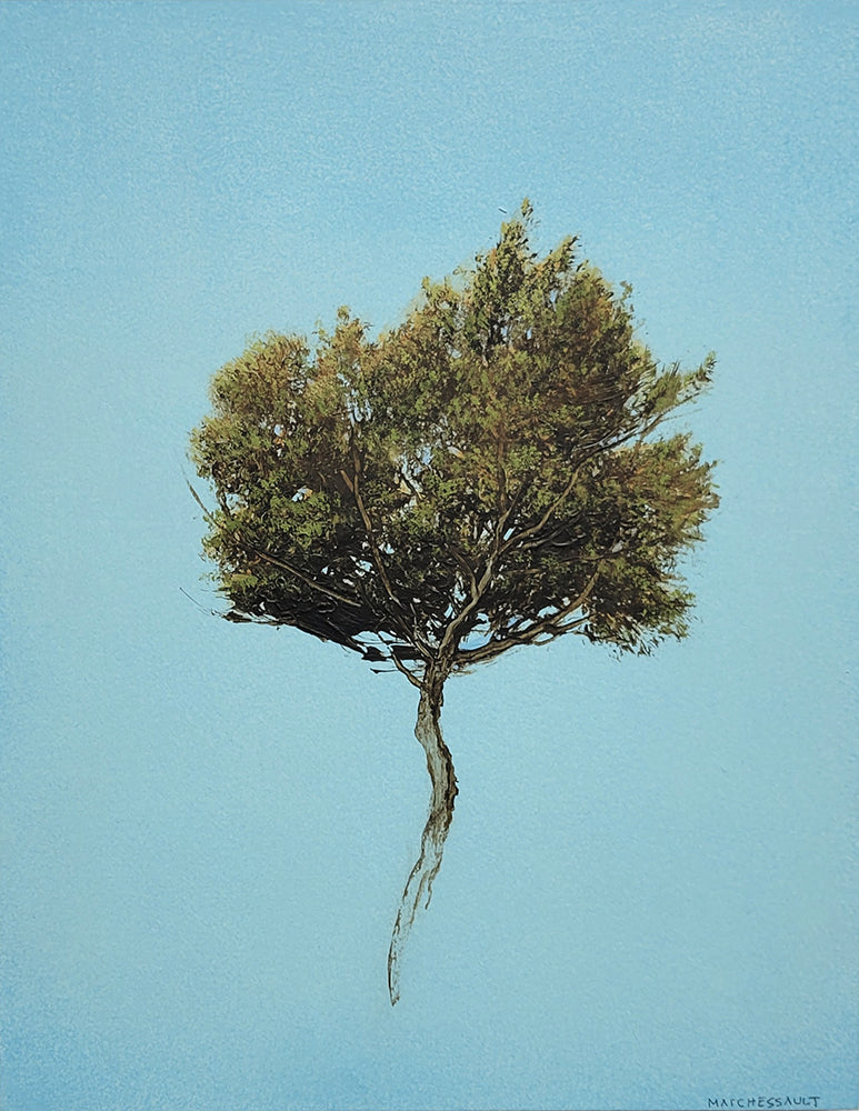 Robert Marchessault artwork 'Luberon II' available at Bau-Xi Gallery Toronto, Ontario