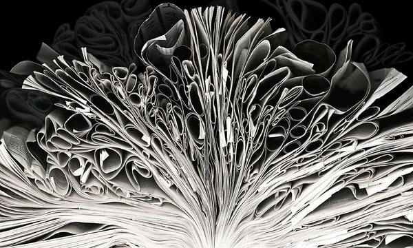 Cara Barer artwork 'Info On Paper' available at Bau-Xi Gallery Toronto, Ontario