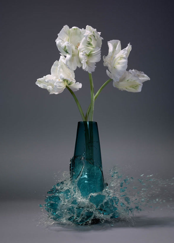 Martin Klimas artwork 'Untitled (Tulipa VIII)' available at Bau-Xi Gallery Toronto, Ontario