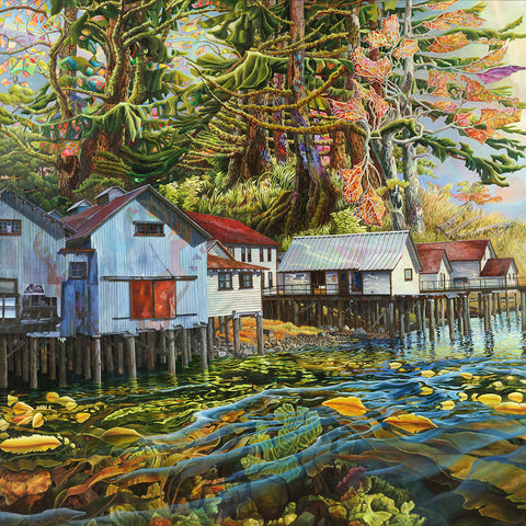 The Kelp and the Woods
