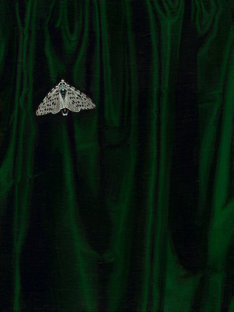 Ian Stone artwork 'In plain sight (white)' available at Bau-Xi Gallery Toronto, Ontario
