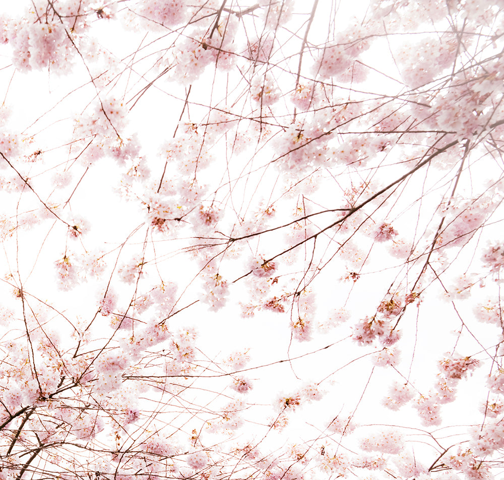 Joshua Jensen-Nagle artwork 'More Time, More Moments' available at Bau-Xi Gallery Toronto, Ontario