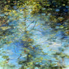 Jamie Evrard artwork 'Evening Pond' available at Bau-Xi Gallery Vancouver