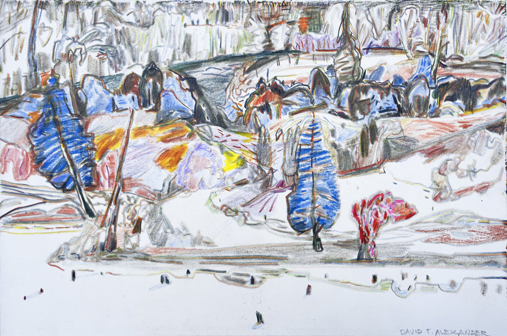 David T. Alexander artwork 'Blue Spruces River Bank' available at Bau-Xi Gallery Vancouver