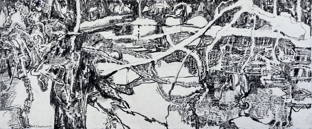 David T. Alexander artwork 'Ice Forming on Pond 1' available at Bau-Xi Gallery Vancouver
