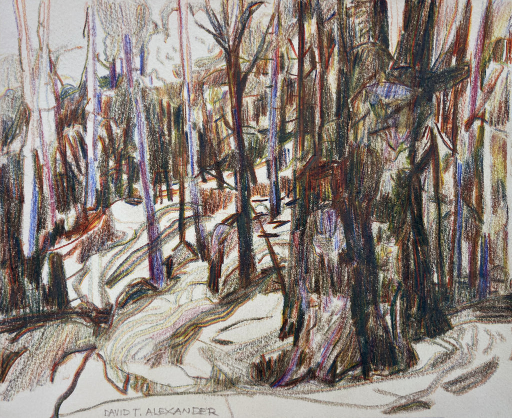 David T. Alexander artwork 'West Kelowna Fire' available at Bau-Xi Gallery Vancouver