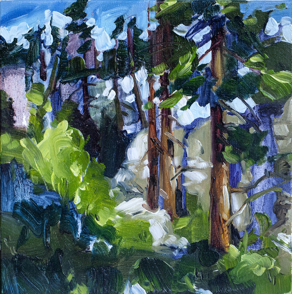 Cori Creed artwork 'Ponderosa' available at Bau-Xi Gallery Vancouver
