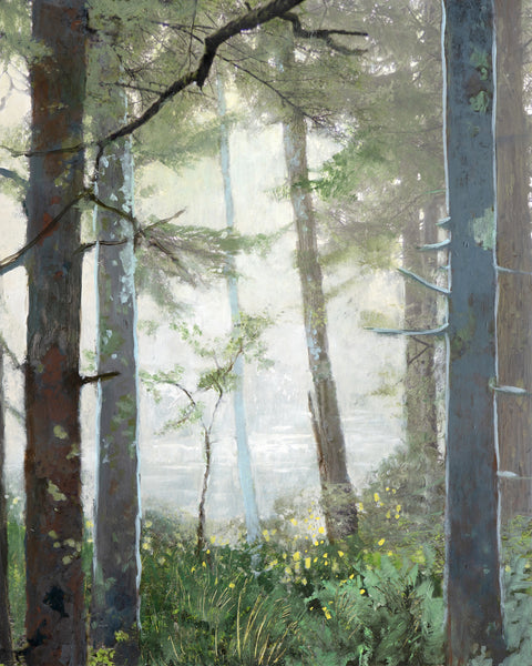 Steven Nederveen artwork 'Pond Through Trees' available at Bau-Xi Gallery Vancouver