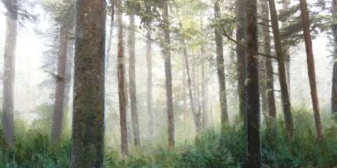 The Soft Forest