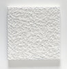 Vicky Christou artwork 'Brier 1' available at Bau-Xi Gallery Vancouver
