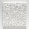 Vicky Christou artwork 'Brier 4' available at Bau-Xi Gallery Vancouver