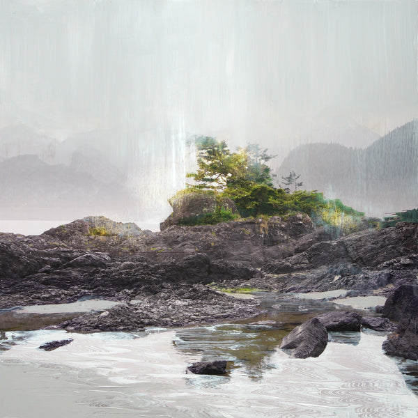 Steven Nederveen artwork 'Nature Finds A Way' available at Bau-Xi Gallery Vancouver