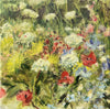 Jamie Evrard artwork 'Small Meadow Poppies' available at Bau-Xi Gallery Vancouver