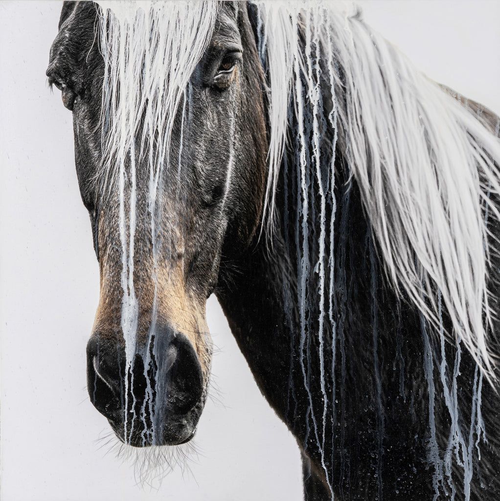 Andre Petterson artwork 'Bay White' available at Bau-Xi Gallery Vancouver