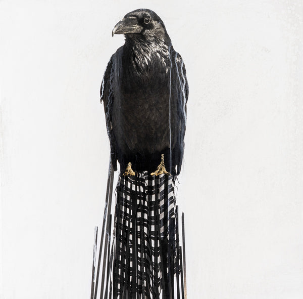 Andre Petterson artwork 'Perch' available at Bau-Xi Gallery Vancouver