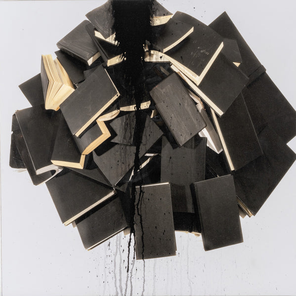 Andre Petterson artwork 'Tumble' available at Bau-Xi Gallery Vancouver